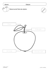 Der Apfel im Unterricht 22.pdf